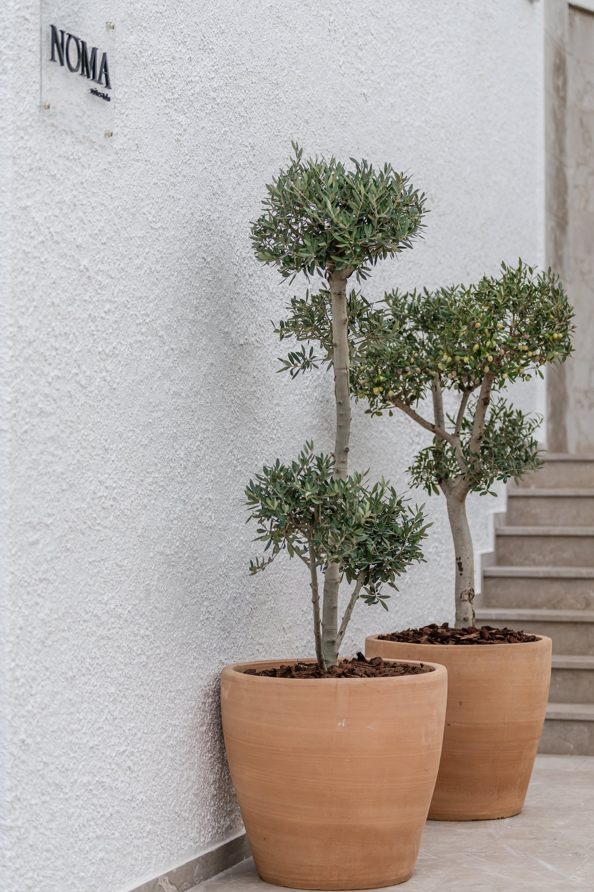 Exterior 7 - Noma Suites Tolo